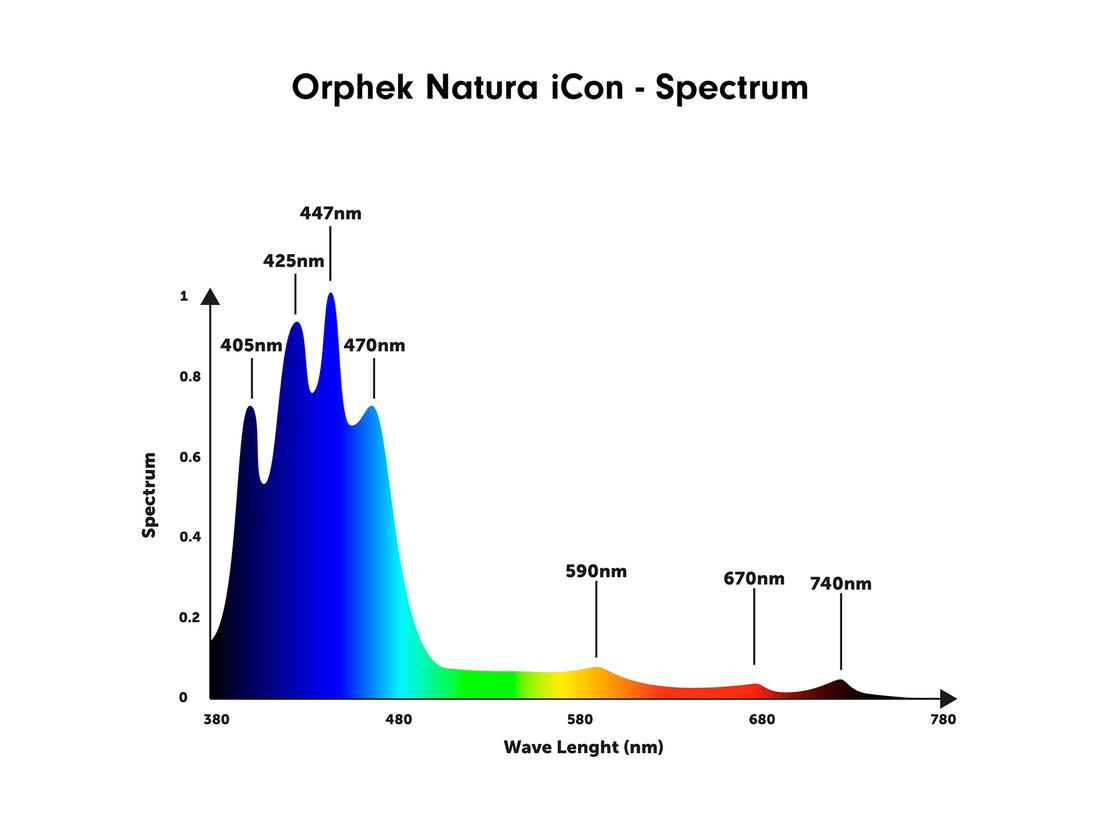 Orphek Natura iCon