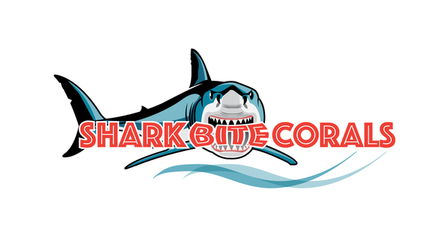 Shark Bite Corals